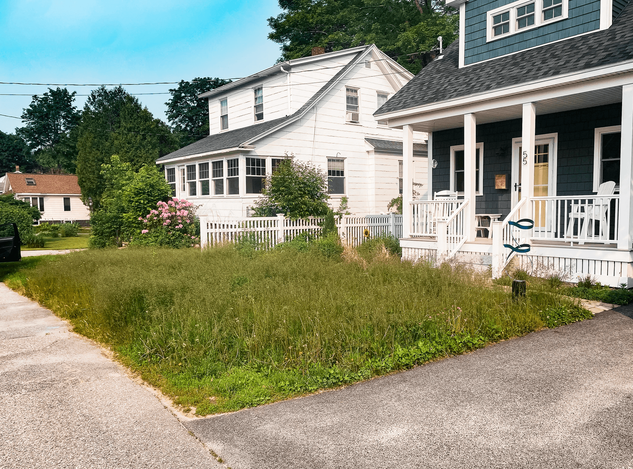 Neat lawn after professional mowing and edging