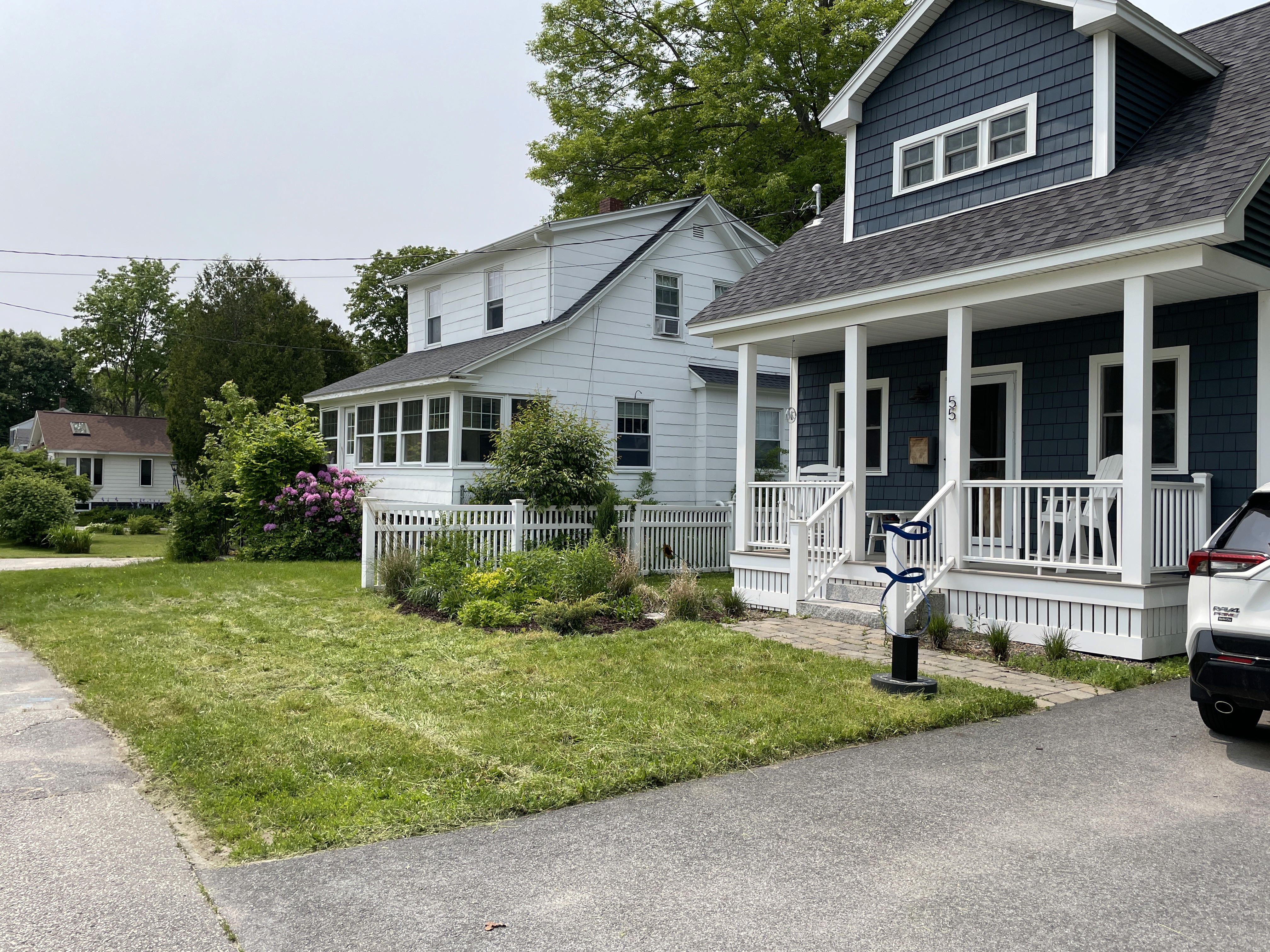 Overgrown yard before professional lawn care service