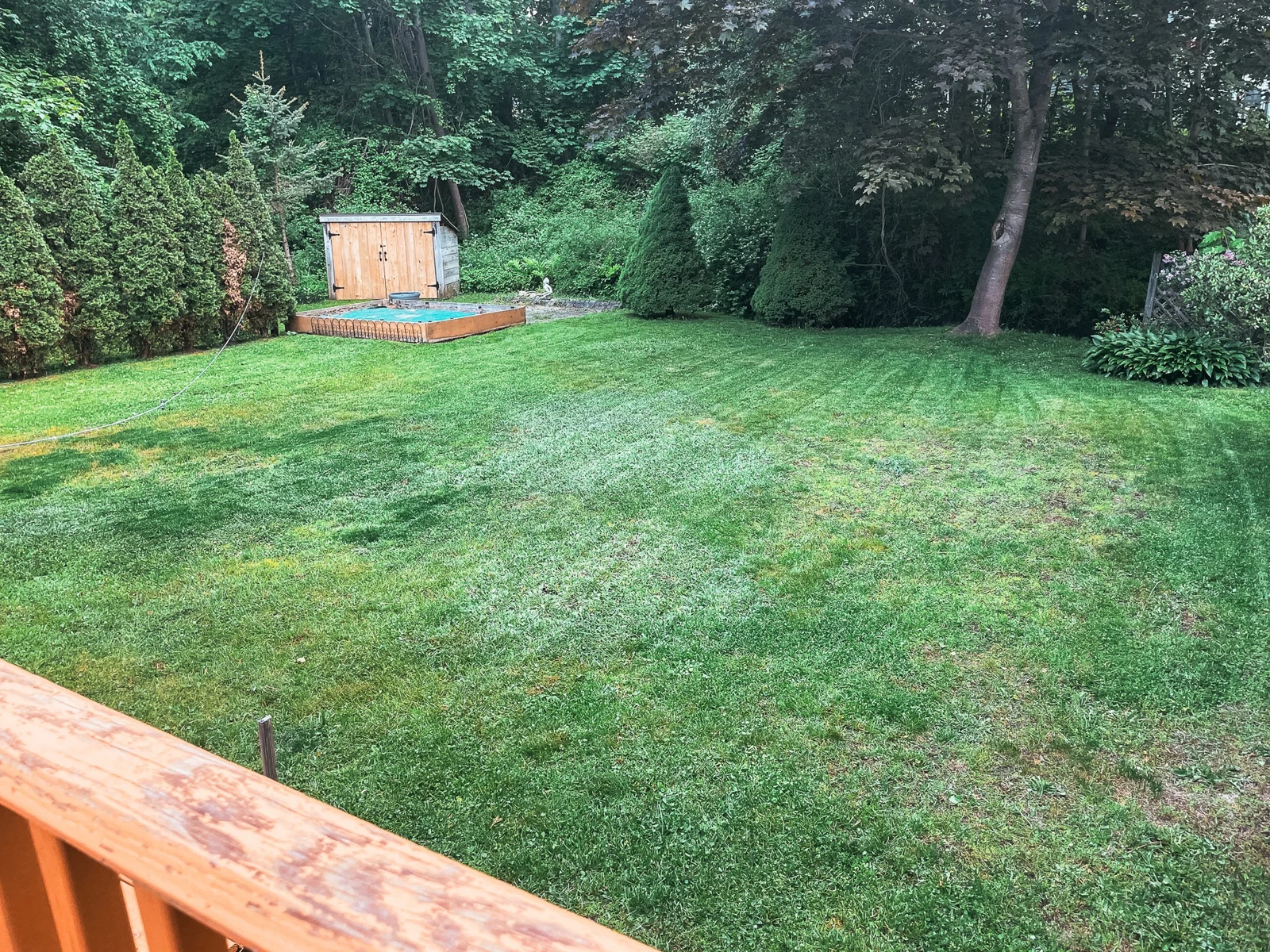 Maine lawn bordered by mature trees as the season begins to change